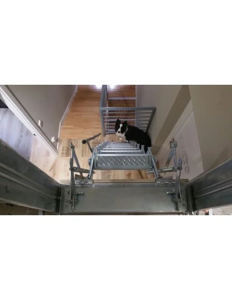 Escaleras plegables de interior