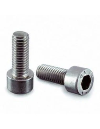Tornillo de cabeza cilíndrica con hueco hex.QS-26 M8x20mm - Barmet