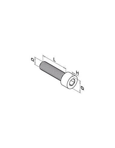 Medidas Tornillo de cabeza avellanada con hueco hexagonal QS-17